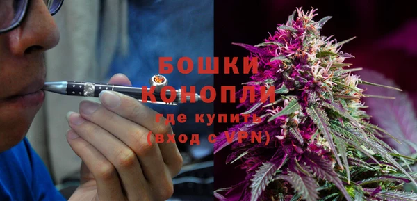 ГАЛЛЮЦИНОГЕННЫЕ ГРИБЫ Армянск